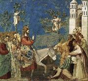 GIOTTO di Bondone Entry into Jerusalem oil painting